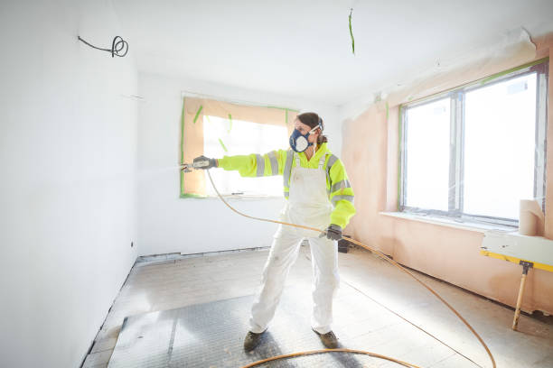 Best Mold Odor Removal Services  in La Vergne, TN