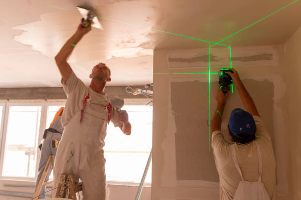 Best Mold Damage Restoration  in La Vergne, TN