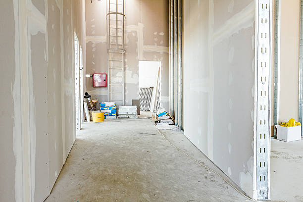 Best Airborne Mold Testing  in La Vergne, TN