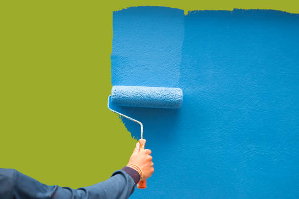 Best Attic Mold Removal  in La Vergne, TN